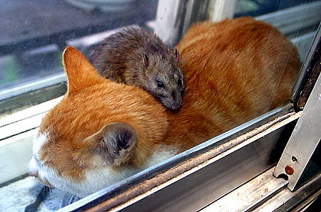 (chung  )I(y)ؿʮ(jng)ҪE