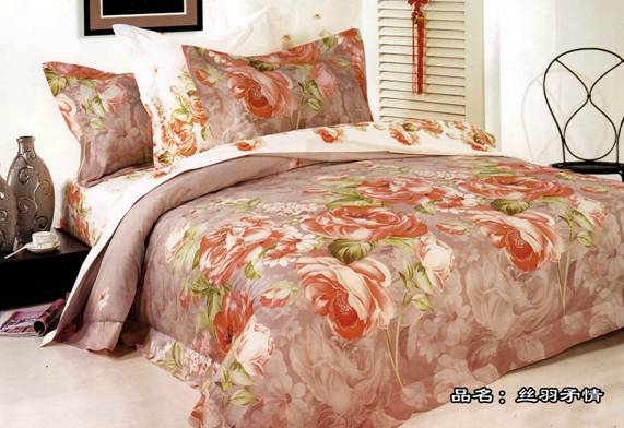 ϺҼ2009Įa(chn)Ʒ¡صǈ(chng)