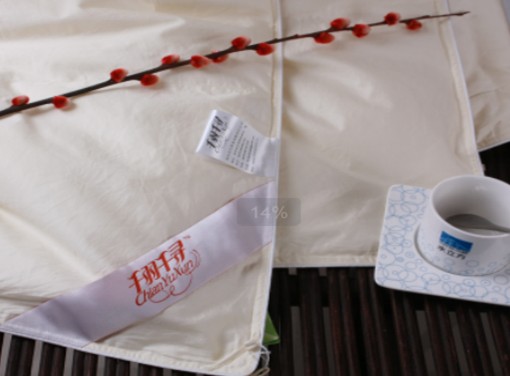 ǧǧq2010Ʒl(f)(hu )