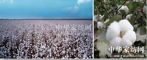 NN(xio)һw (chung  )Ҽwϵ