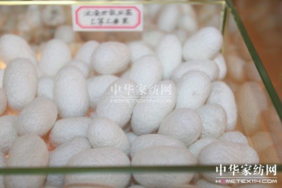 QҺֱI(yng)A_(ki)I(y)