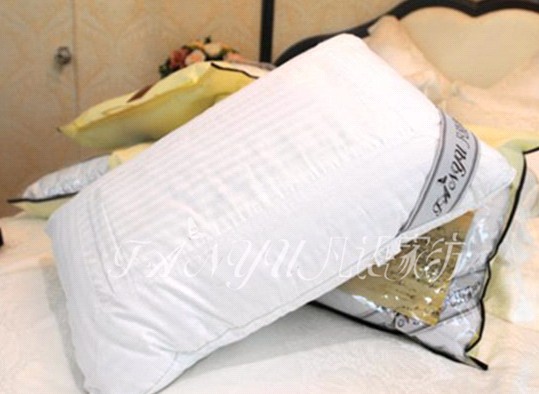 Z(y)ҼN(xio)۵Č(sh)ɣϣ