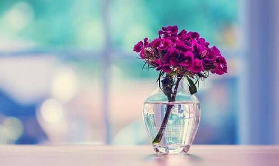 _mҼz˲gỬڻ